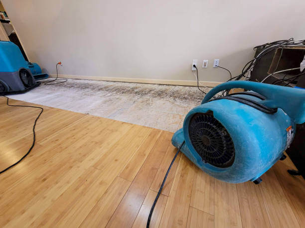 Professional Basement Flood Cleanup technician working in Houston, TX
